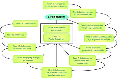 Secuencia Y Relaciones De Los Pasos Fundamentales En La Restauraci N