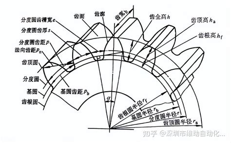 齿轮部位名称介绍 知乎