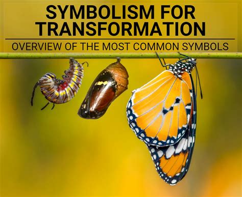 Discover Symbolism For Transformation Common Symbols Explained