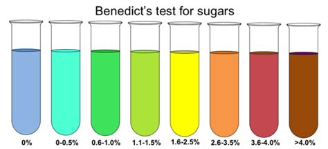 Tests For Carbohydrates Types Principles Apparatus