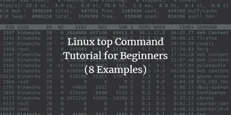 Linux Top Command Tutorial For Beginners 8 Examples