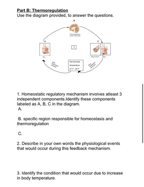 Solved Part B Thermoregulation Use The Diagram Provided To Chegg