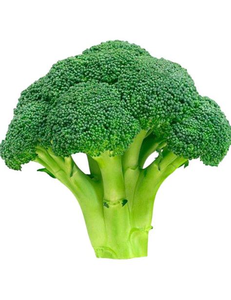 Green Broccoli HD Image Free Plant Based Whole Foods Healthy Recipes