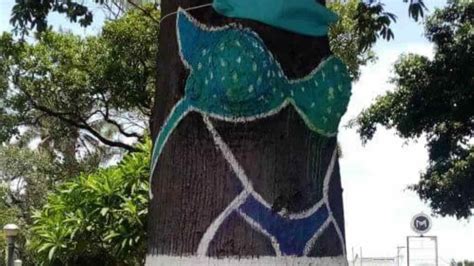 Ponen cubrebocas al árbol del bikini para promover su uso en Veracruz La Silla Rota