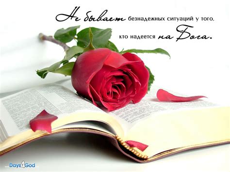 Христианские обои, картинки, фотографии - Дни для Бога