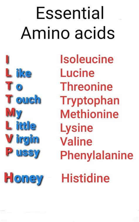 MCAT Amino Acids Cheat Sheet