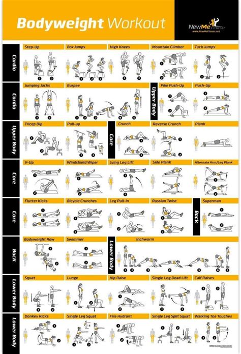 Total Gym Full Body Workout Chart Eoua Blog