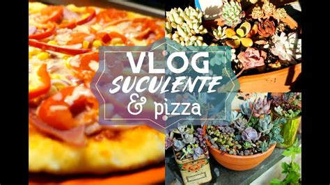 VLOG Plante SUCULENTE Si Reteta De PIZZA La Tigaie YouTube