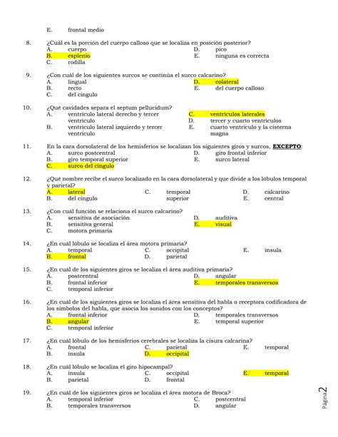 Solution Conformaci N Externa De Los Hemisferios Cerebrales Studypool