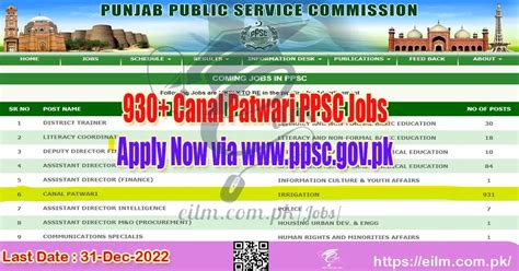 930 Canal Patwari PPSC Jobs Apply Now Via Ppsc Gov Pk