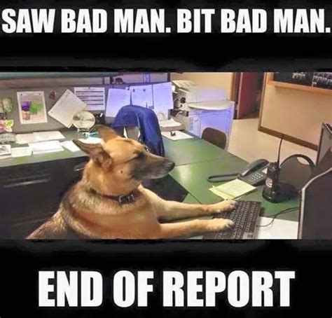 K 9 Police Report Mental Blogger