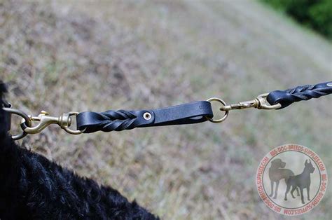 Buy Braided Short Leather Leash Pull Tab Dog Walking Training