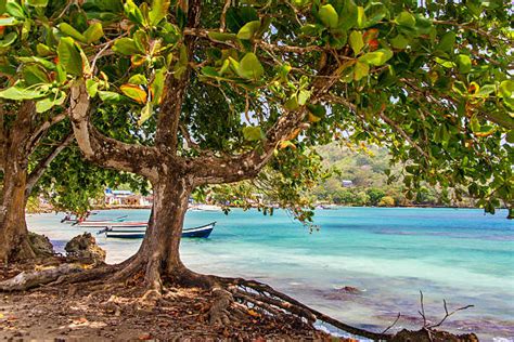 140 Provinsi Darién Foto Stok Potret And Gambar Bebas Royalti Istock