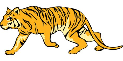 Gambar Harimau Sumatera Png