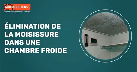 Comment éliminer la moisissure dans une chambre froide Mold Busters