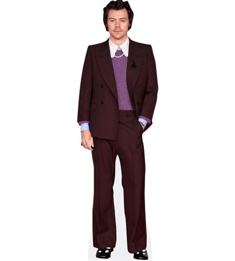 Harry Styles Full Body Png