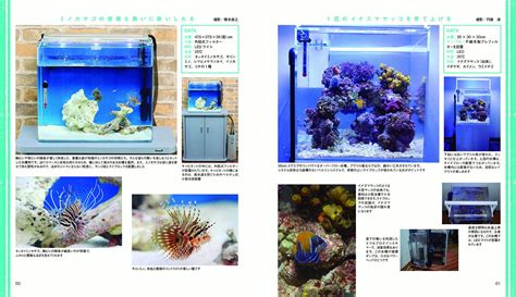 楽天ブックス 増補改訂版・はじめての海水魚飼育 マリンアクアリスト編集部 9784909701824 本