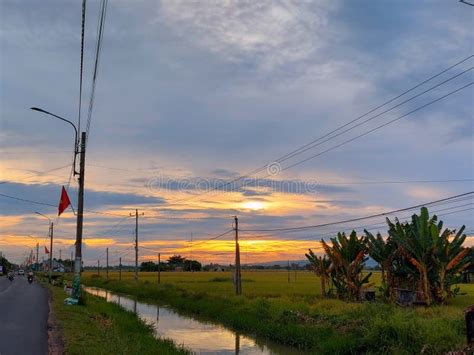 A Peaceful Sunset Over the Ricefield in Vietnam Village Stock Image ...