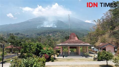 Sudah Hektar Hutan Lindung Di Gunung Lawu Ngawi Ludes T