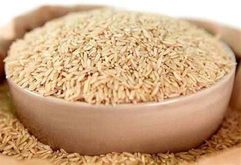 Husked Brown Rice Non Basmati Fine Quality At Rs Kg In Nagpur