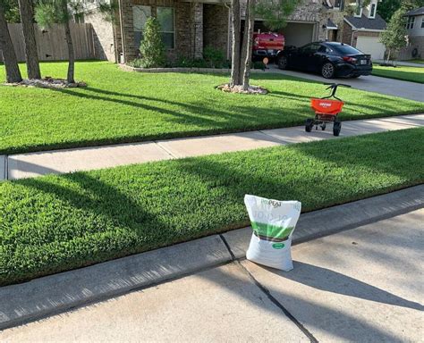 How To Grow St Augustine Grass The Ultimate Guide