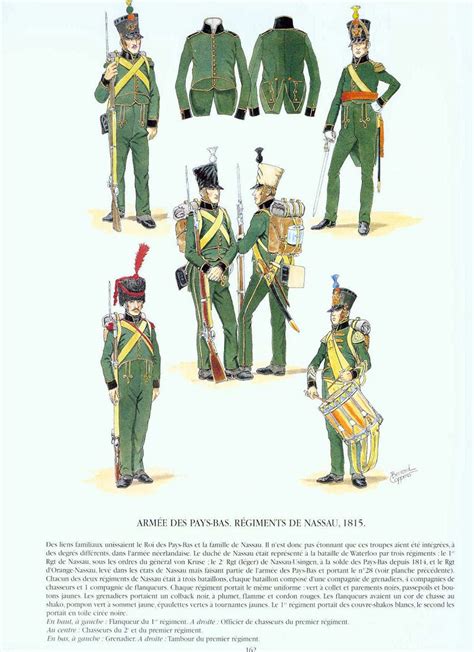 Nassau Napoleonic Uniforms