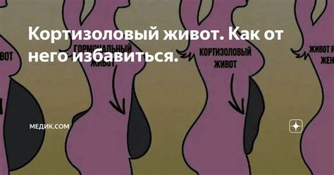 Кортизоловый живот. Как от него избавиться. | Живот, Школы танцев, Сила ...