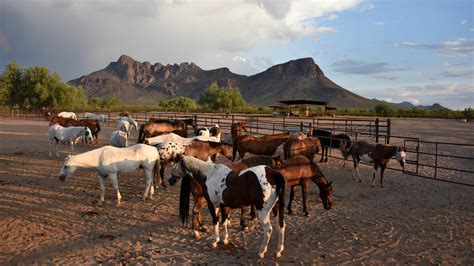 White Stallion Ranch Arizona Frontier America