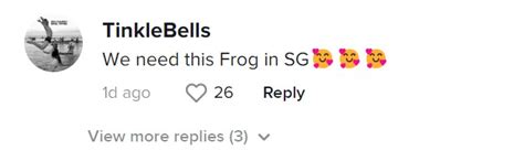 Frog Mascot Spotted At Paya Lebar And Bugis Dancing And Saluting Passersby