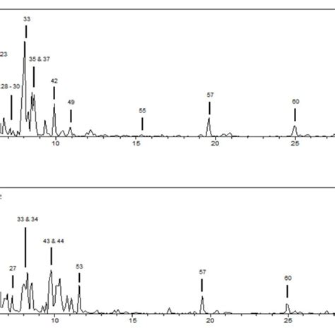 Hplc Esims N Base Peak Chromatograms Bpc Of The Methanolic Download Scientific Diagram