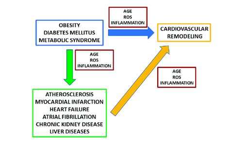 Metabolic Disorders Advanced Glycation End Products Age And