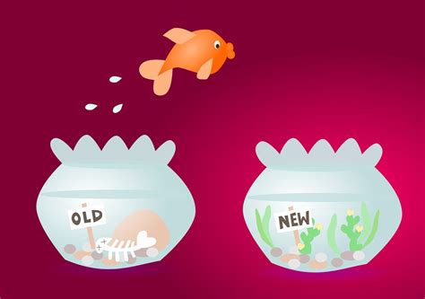 5 Tips to Step Outside Your Comfort Zone and Achieve Your Dreams