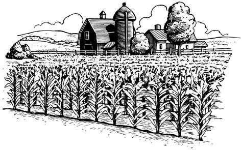 corn field clipart black and white 20 free Cliparts | Download images ...