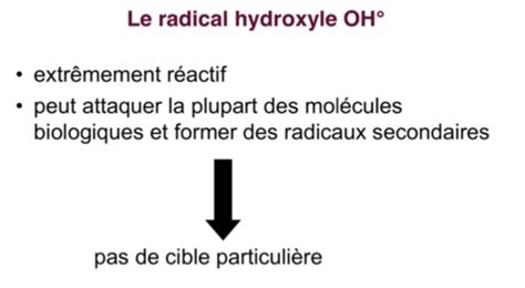 Stress Oxydant Et Vieillissement M1 Tack Flashcards Quizlet