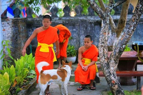 湄公河畔，神圣的老挝之行 琅勃拉邦旅游攻略 游记 去哪儿攻略