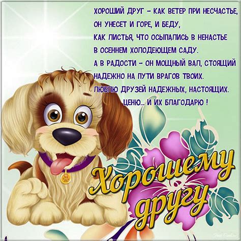 Открытки ДРУГУ с добрыми словами и весёлыми надписями