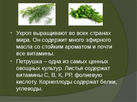"Витамины на подоконнике" проект НОУ