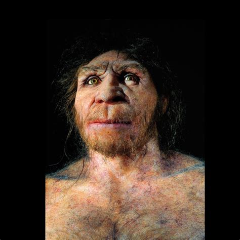 Human Ancestors Nearly Went Extinct 900 000 Years Ago Scientific American