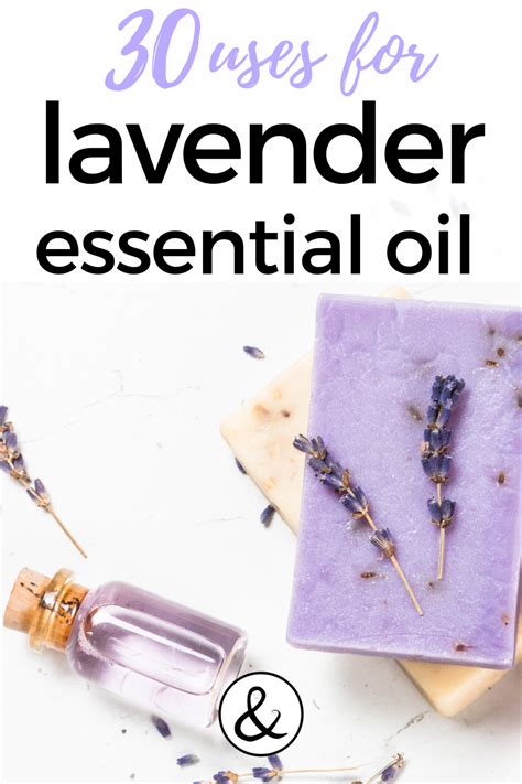 30 Uses For Lavender Essential Oil Lavender Essential Oil Lavender