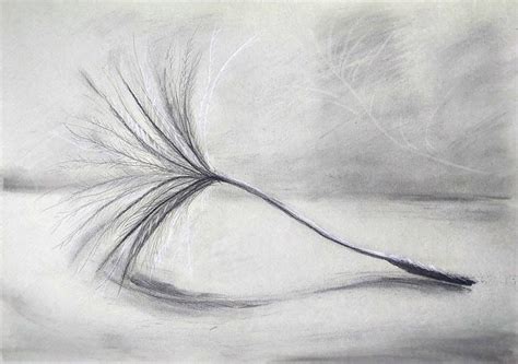 fluff drawing  yelena rybalkina saatchi art