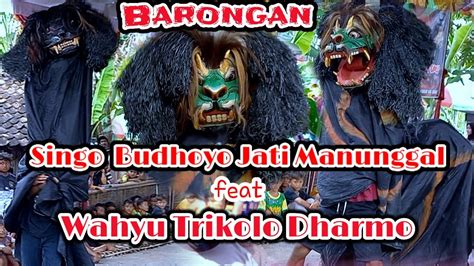 Barongan Collaboration Singo Budoyo Jati Manunggal Wahyu Trikolo