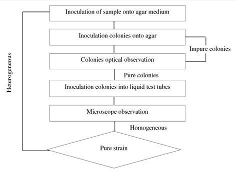 Figure 1 From Biomass And Lipid Yield Of Locally Isolated Microalgae