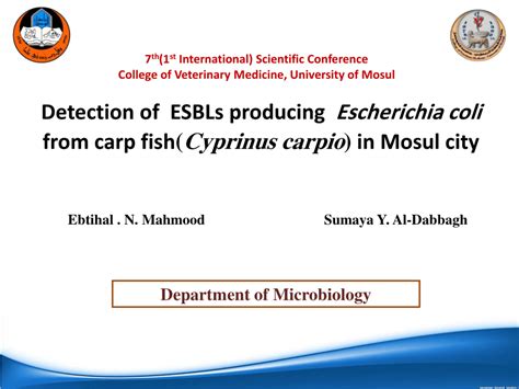 Pdf Detection Of Esbls Producing Escherichia Coli From Carp Fish