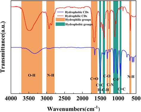 Solvent Controlled Synthesis Of Hydrophilic And Hydrophobic Carbon Dots