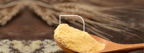 Properties And Uses Of Vital Wheat Gluten Foodcom S A