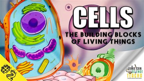 Cells The Building Blocks Of Living Things DJST Biology 2 YouTube