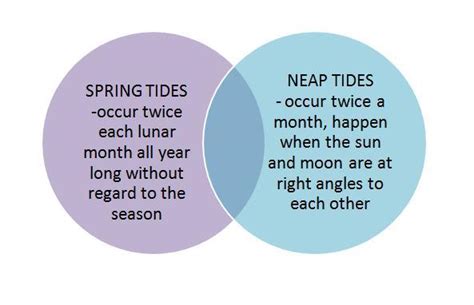 Make A Venn Diagram To Compare Neap Tide And Spring Tides Brainly Ph