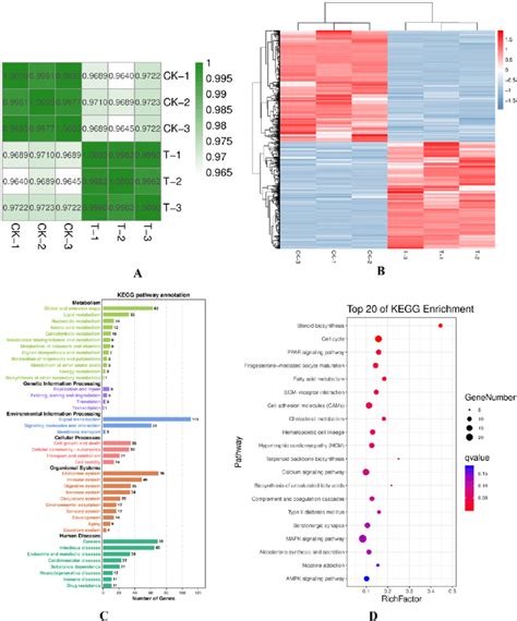 Transcriptomic Sequencing Basic Analysis Of Correlations And Download Scientific Diagram