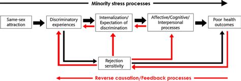 Schematic Diagram Illustrating Possible Causal Pathways From Same Sex