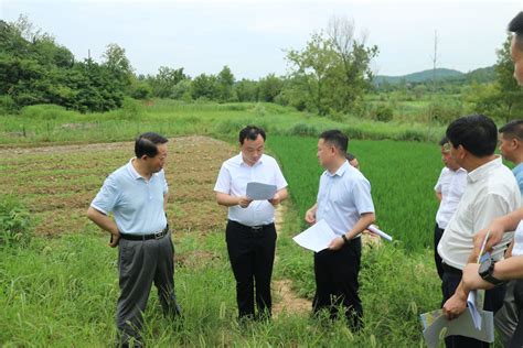 孙辄赴临空经济区·还地桥镇开展“下基层察民情解民忧暖民心”实践活动 抓好新型农房建设 推动重点项目快开工大冶市人民政府